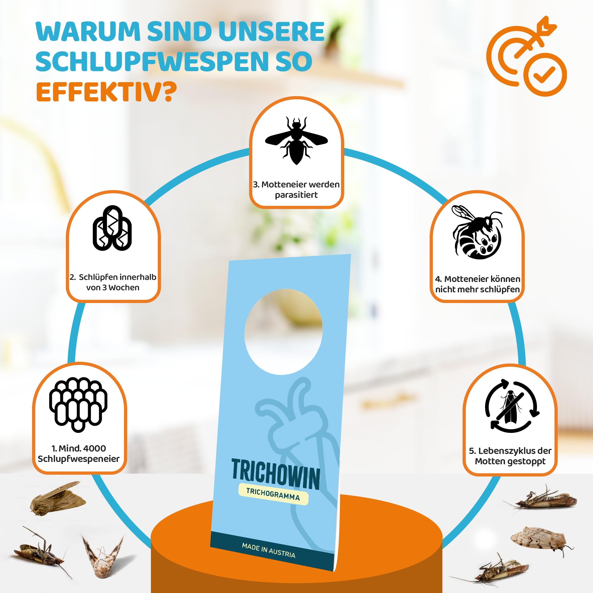 NEU! Schlupfwespen gegen Lebensmittel- & Kleidermotten - Effektiver als Lebensmittelmotten Fallen - Alternativer Mottenschutz zu Mottenfalle & Mottenspray - hergestellt in AT (5 Stk.)