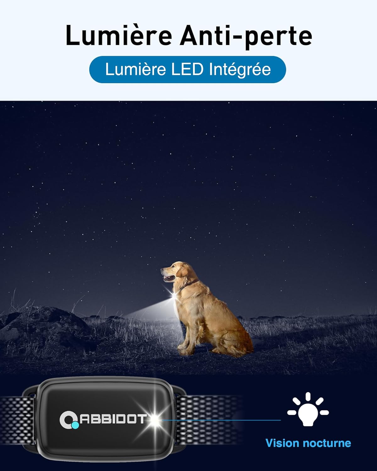 Design robuste du collier ABBIDOT