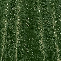 Vista 2 de VViViD+ - Rollo de envoltura de vinilo de carbono compuesto forjado (1 pie x 5 pies, verde militar)