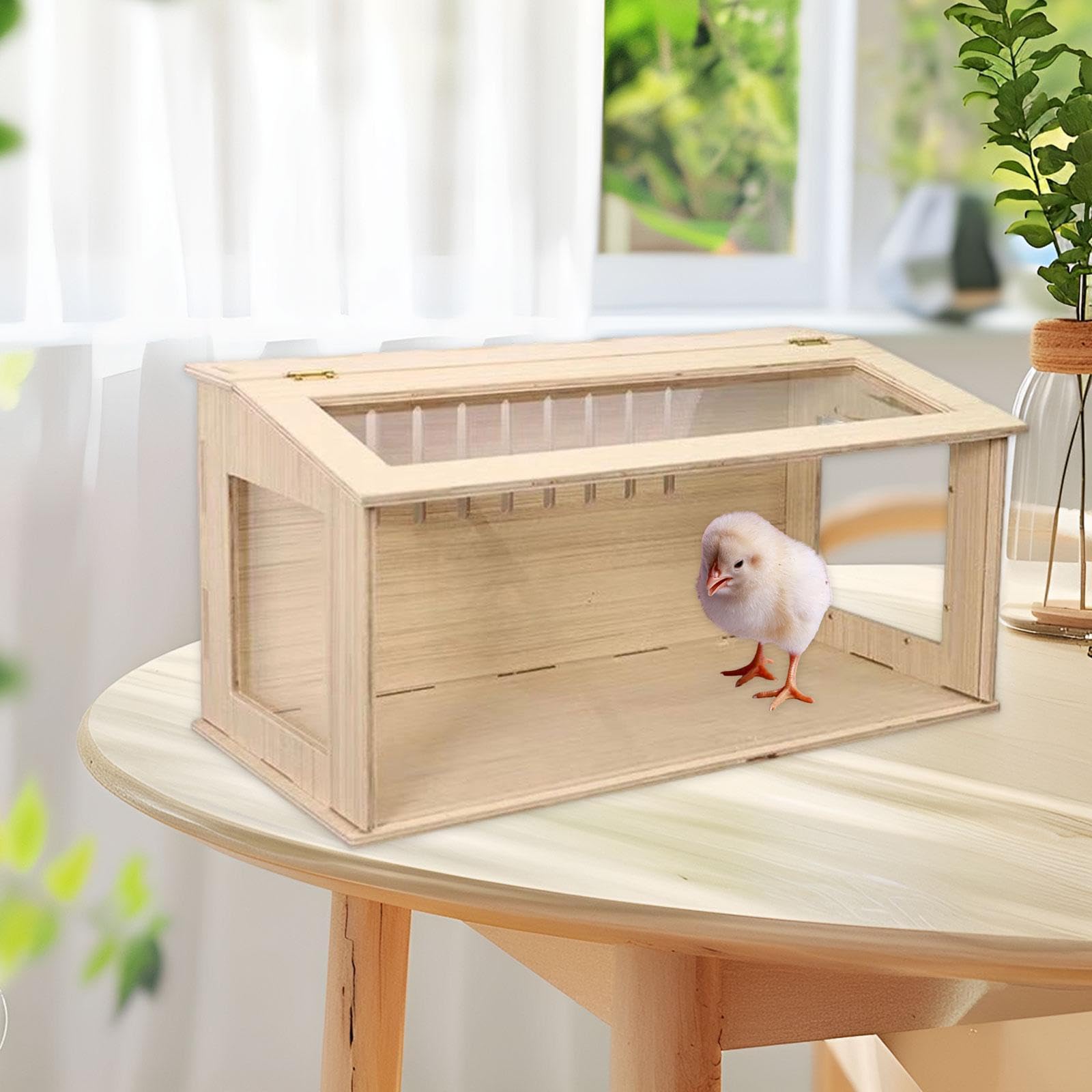 F Fityle Jaula para Hámster de, Caja de Cría de Pollos con Ventana, Escondite, Nido, Hábitat para Ratones Y, Caja Nido para Ratones, Ratones Y, Lados Transparentes de 40 cm