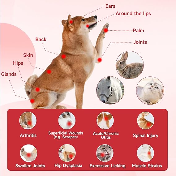 5000mAh Cold Laser Therapy Device for Dogs Pets with 5 * 808nm & 10 * 650nm