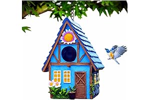 Charming Decorative Bird House for Outdoor Decor