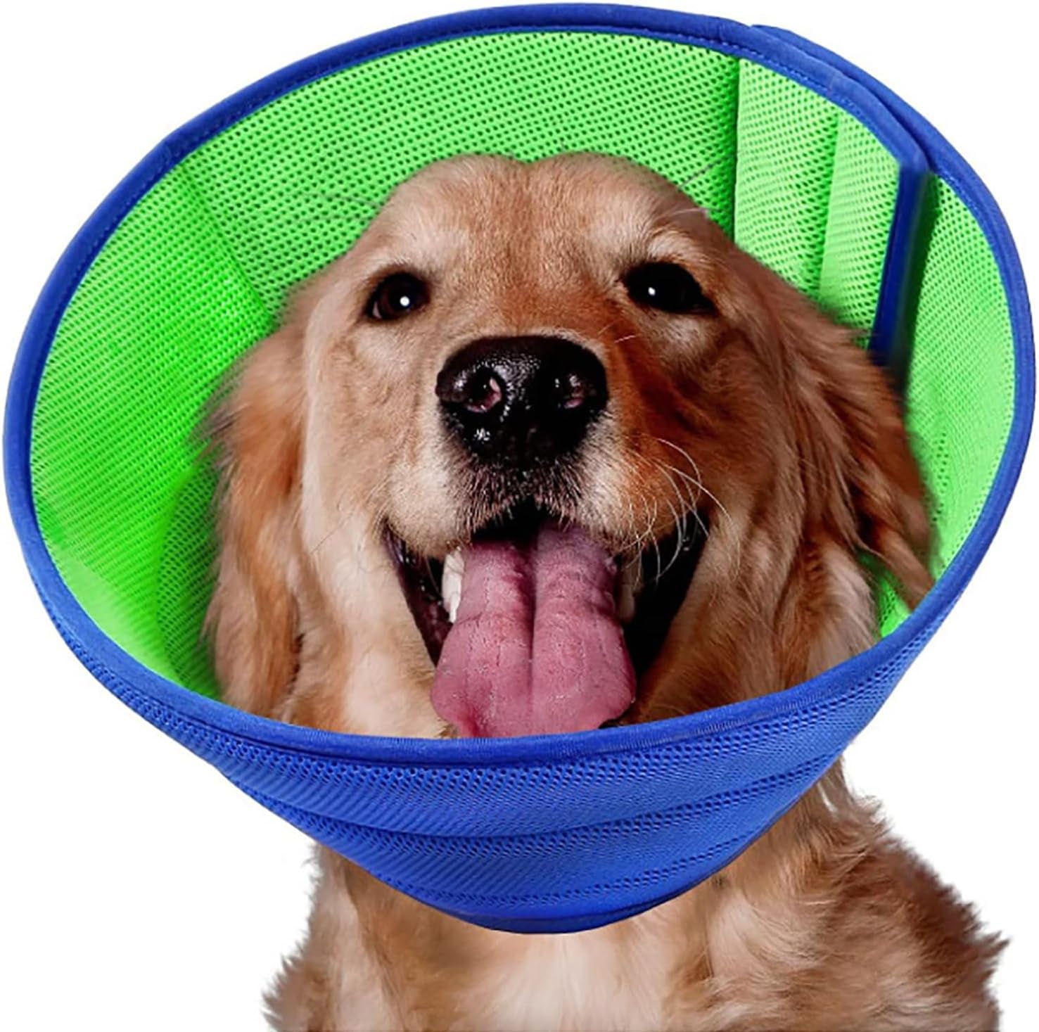 Photo 1 of Soft Dog Cone Recovery Collars & Cones After Surgery for Small,Medium Large Dogs,Adjustable Breathable Dog Cone Collar,Protect Pets from Licking Wounds,Soft and Comfortable, Reduce Anxiety (Blue, M)