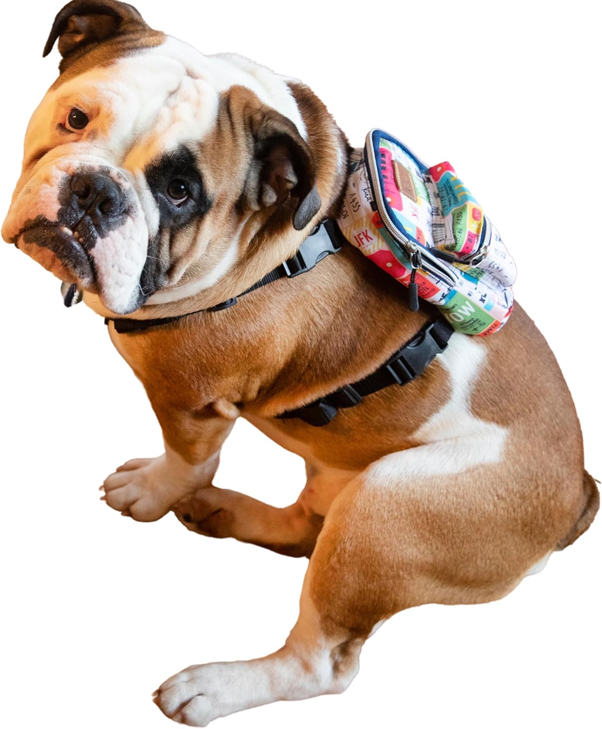 Köpek Sırt Çantası – 2’si 1 Arada Göğüs Tasması Fonksiyonlu, Su Geçirmez, Ayarlanabilir, Küçük & Büyük Irklar için,Travel, Çantalı Göğüs Tasmas, Small