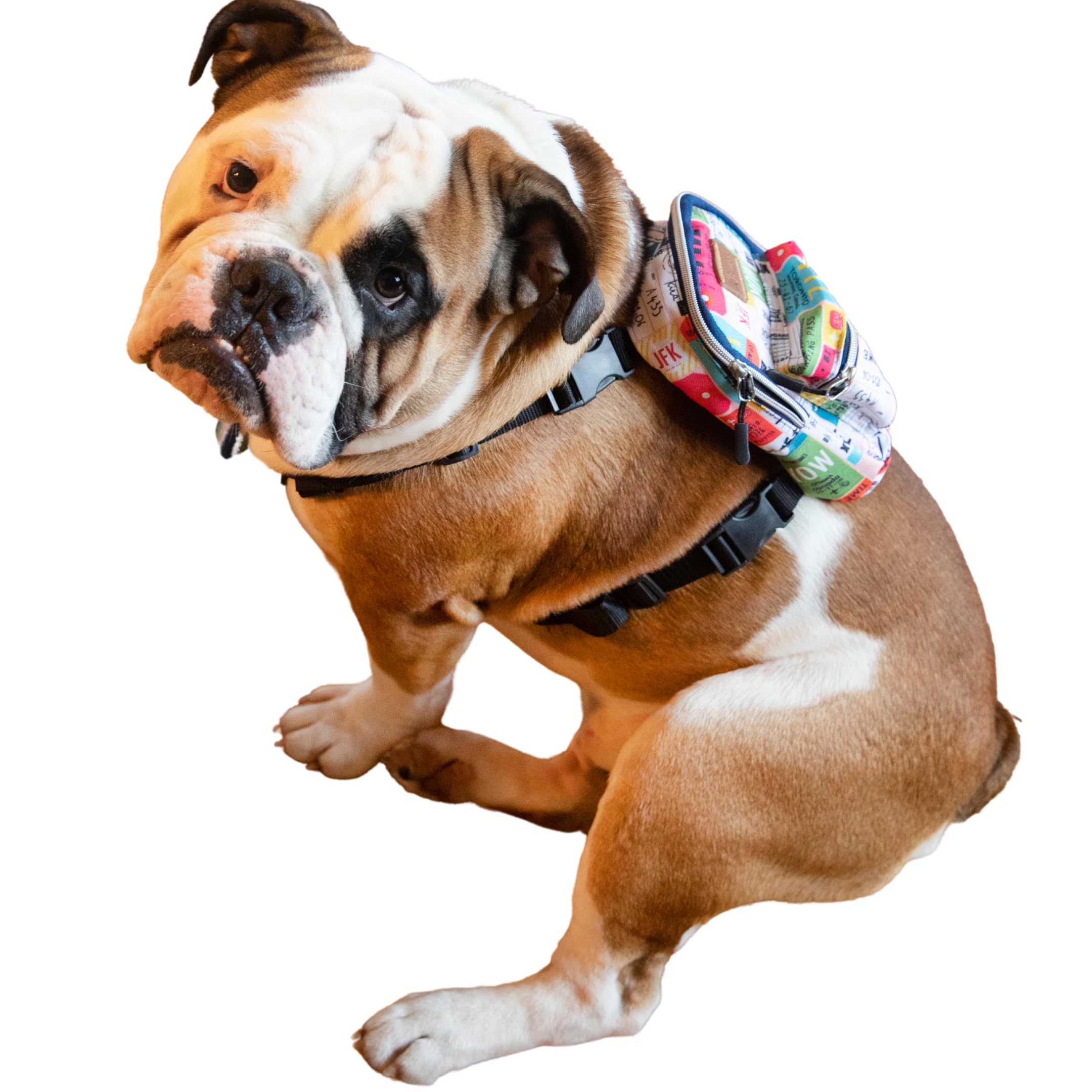 Köpek Sırt Çantası – 2’si 1 Arada Göğüs Tasması Fonksiyonlu, Su Geçirmez, Ayarlanabilir, Küçük & Büyük Irklar için,Travel, Çantalı Göğüs Tasmas, Small