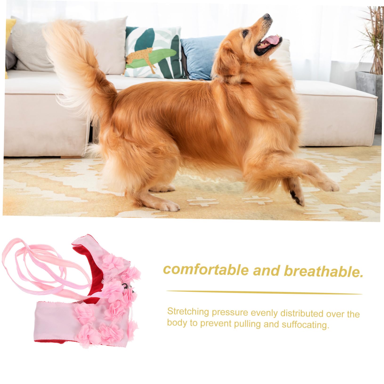 Housoutil 3stücke Verstellbares Hundegeschirr Mit Blumenmuster Atmungsaktiv Und Für Kleine Und Mittelgroße Hunde XL Für Frühling Und Sommer