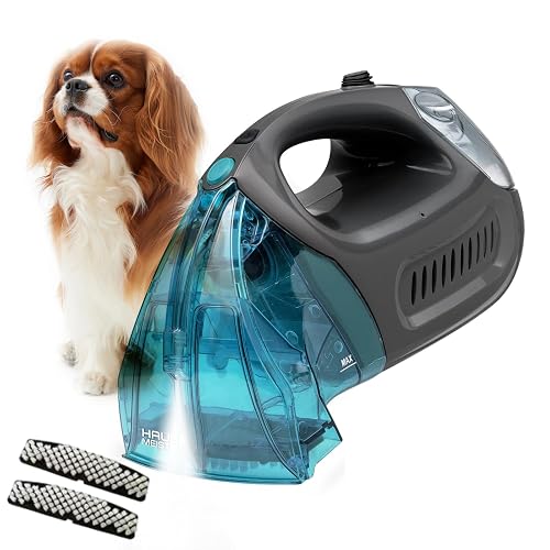 Hausmeister Hydroflex Upholstery & Carpet Cleaner
