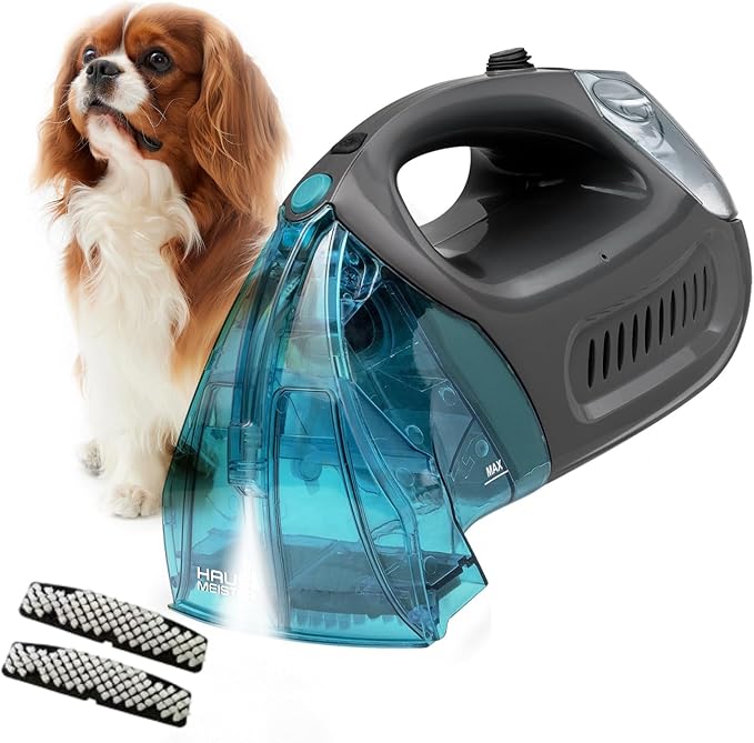 Hausmeister Hydroflex Review: Handheld Carpet Cleaner for Stains