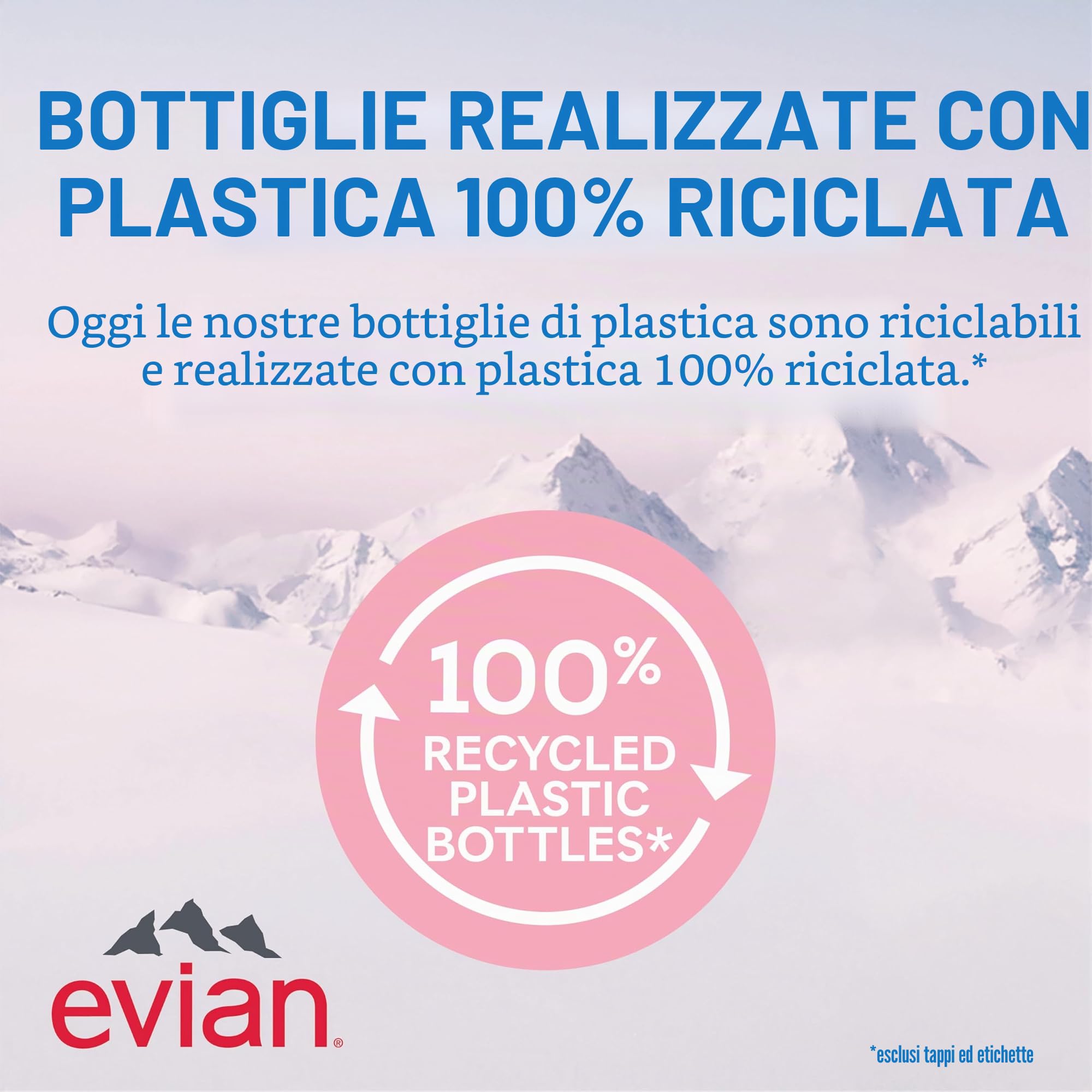 Evian - Acqua di sorgente naturale (una confezione da 12 bottiglie singole, ogni bottiglia è 1 litro) acqua di sorgente filtrata naturalmente in bottiglie grandi