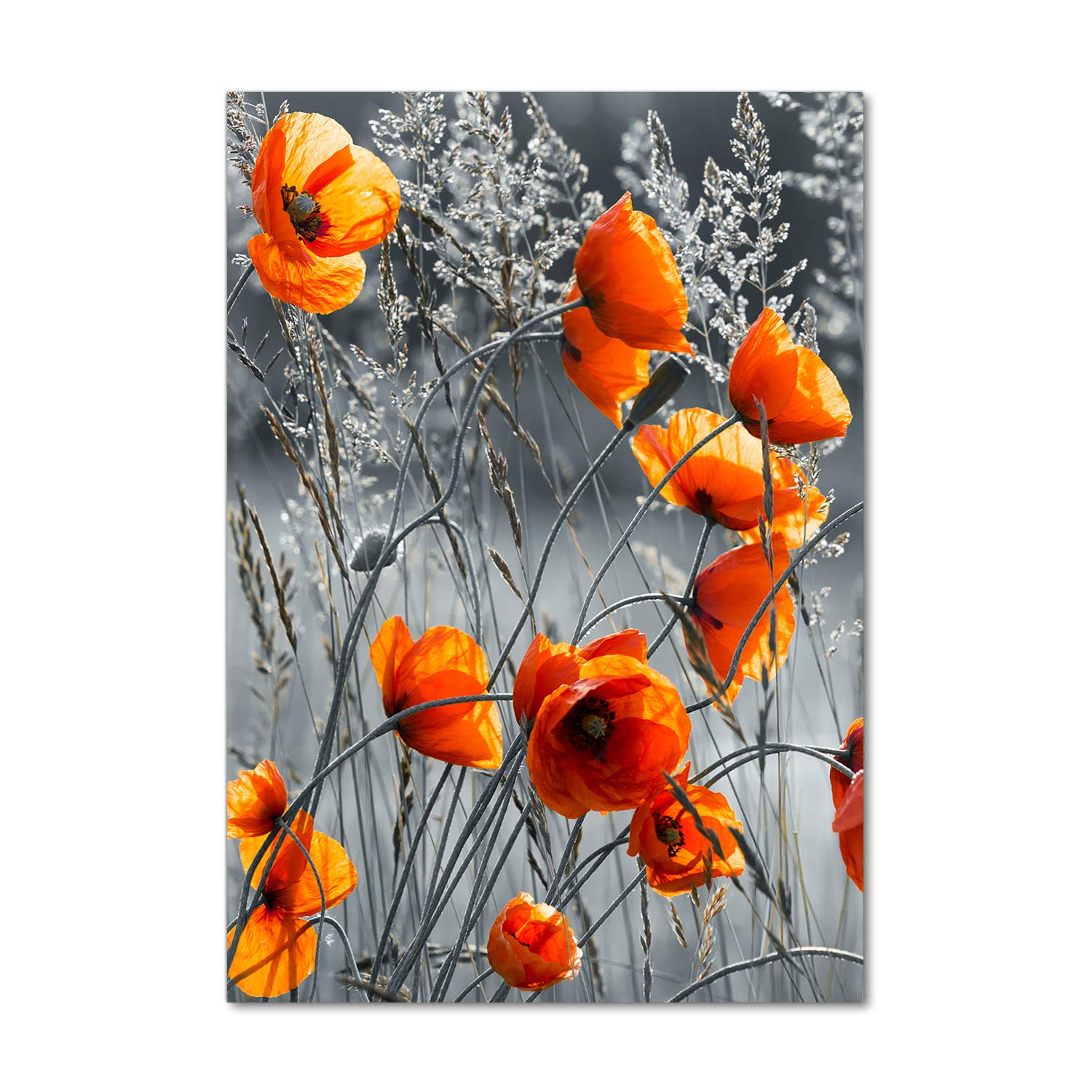 Tableau plexiglas coquelicots orange Tulup 70x100 avec effet de profondeur 3D