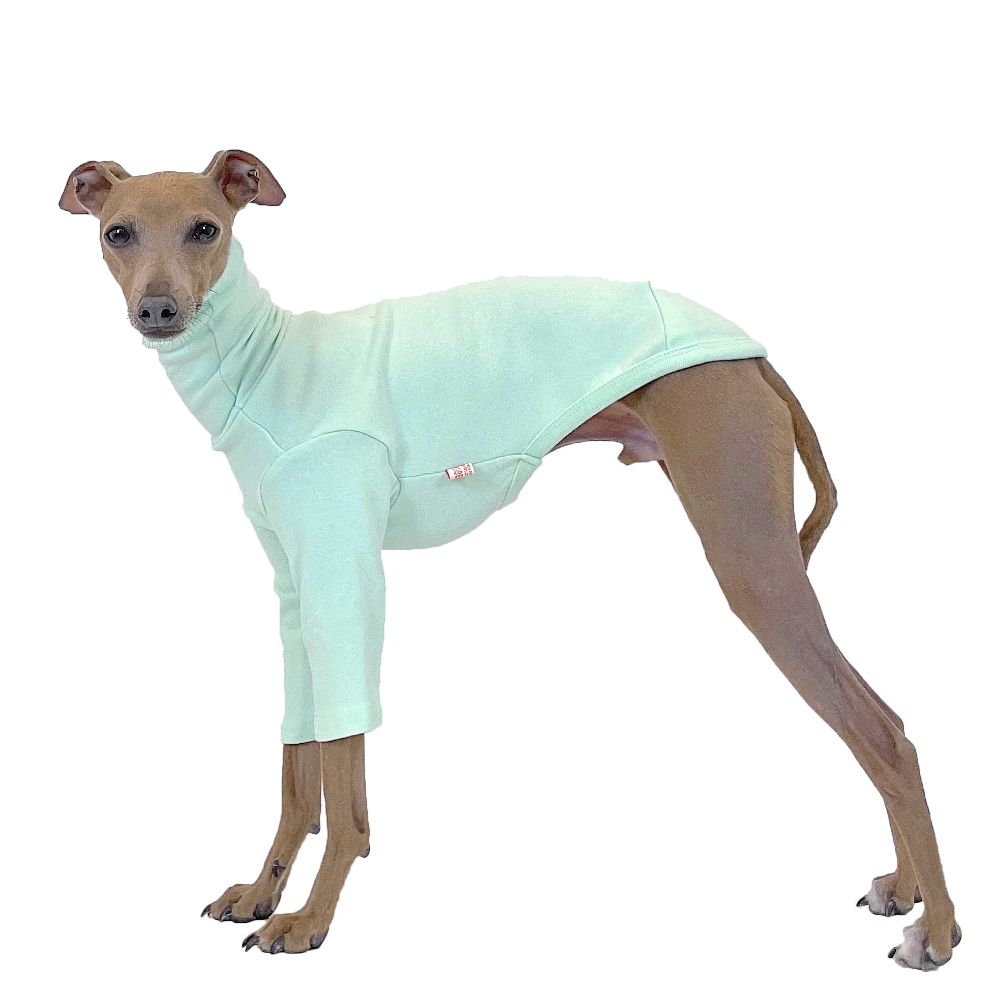 D DOGGY STAR Italian Greyhound Clothes Flexible T Shirts Whippet for Dogs (S,Solid Mint)