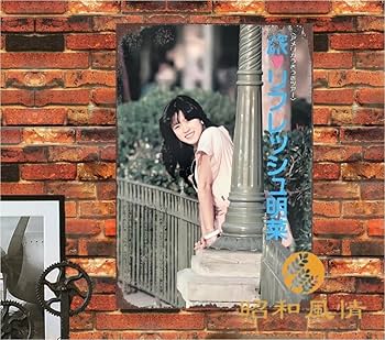 Amazon.co.jp: 【昭和の風情】中森明菜 写真 懐かし ブリキ看板