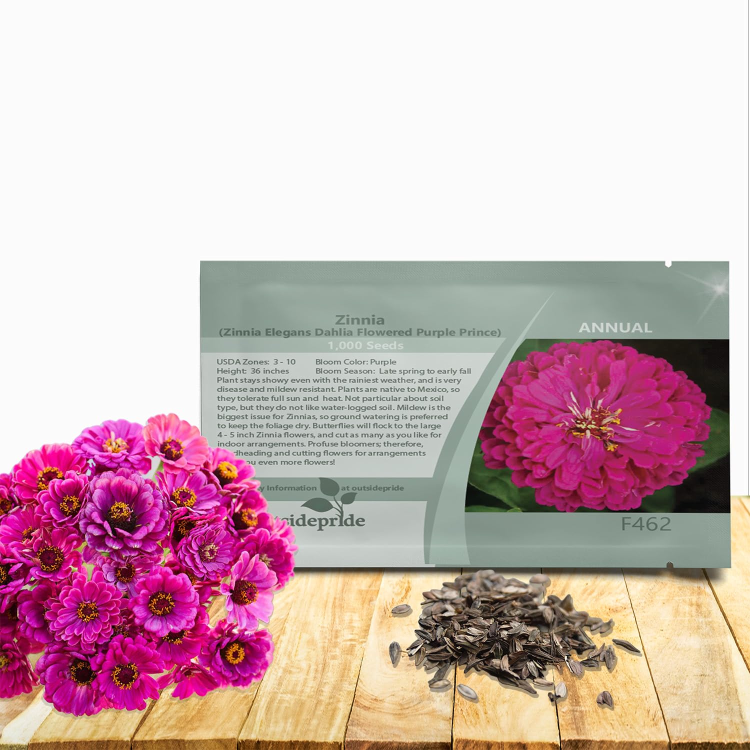 Outsidepride Purple Prince Zinnia Seeds - 1000 Pcs Annual, Low Maintenance and Long-Blooming, Flower Seeds for Planting w/Aesthetic Wide Purple Blooms