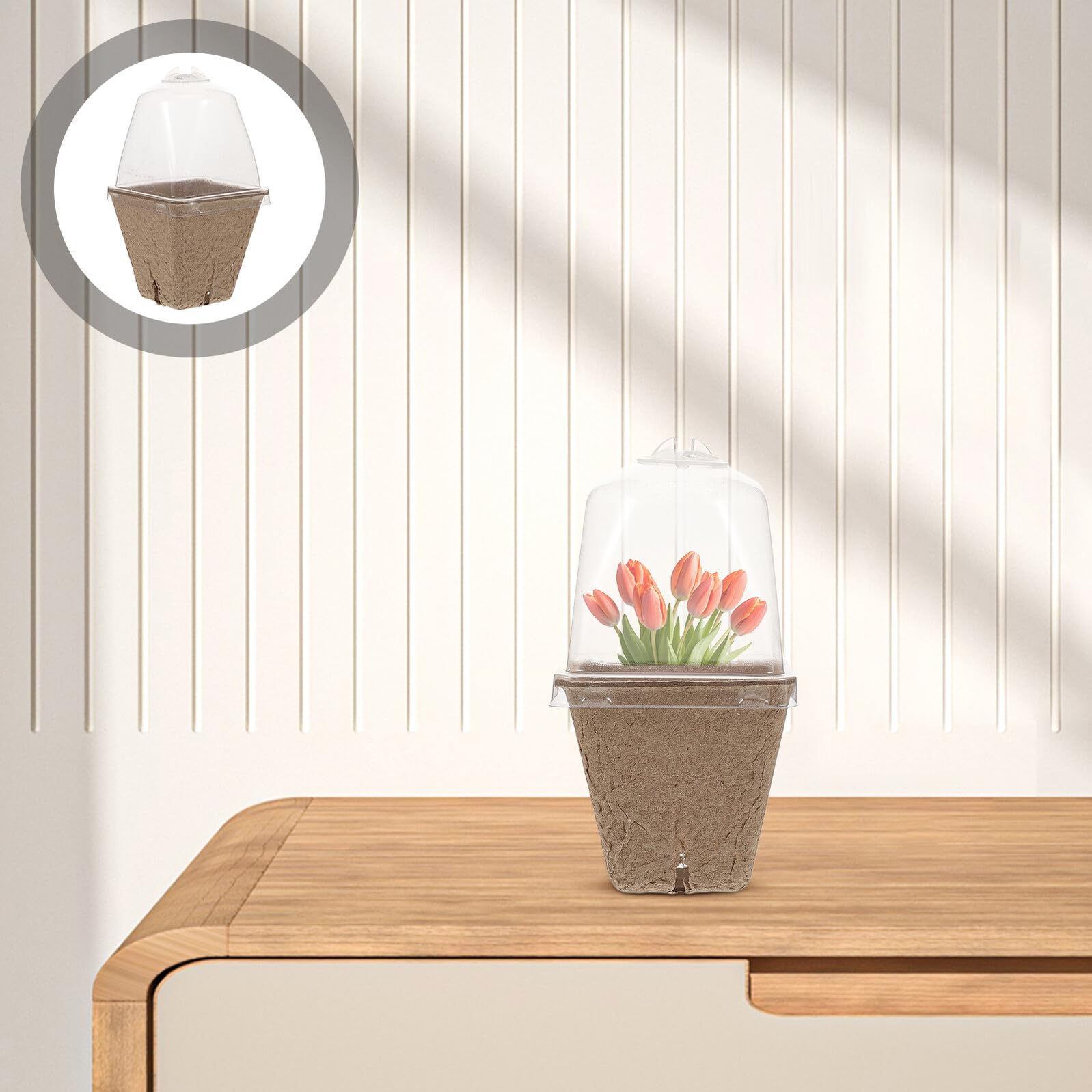 SHINEOFI 36 pièces Pots de Semis Carrés en Fibre de Papier avec Couvercle à Humidité Pots de Plantes pour Jardinage Optimisés pour Gain de Place et Croissance des Semis