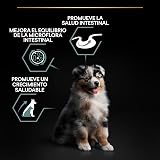 Ver la foto 3