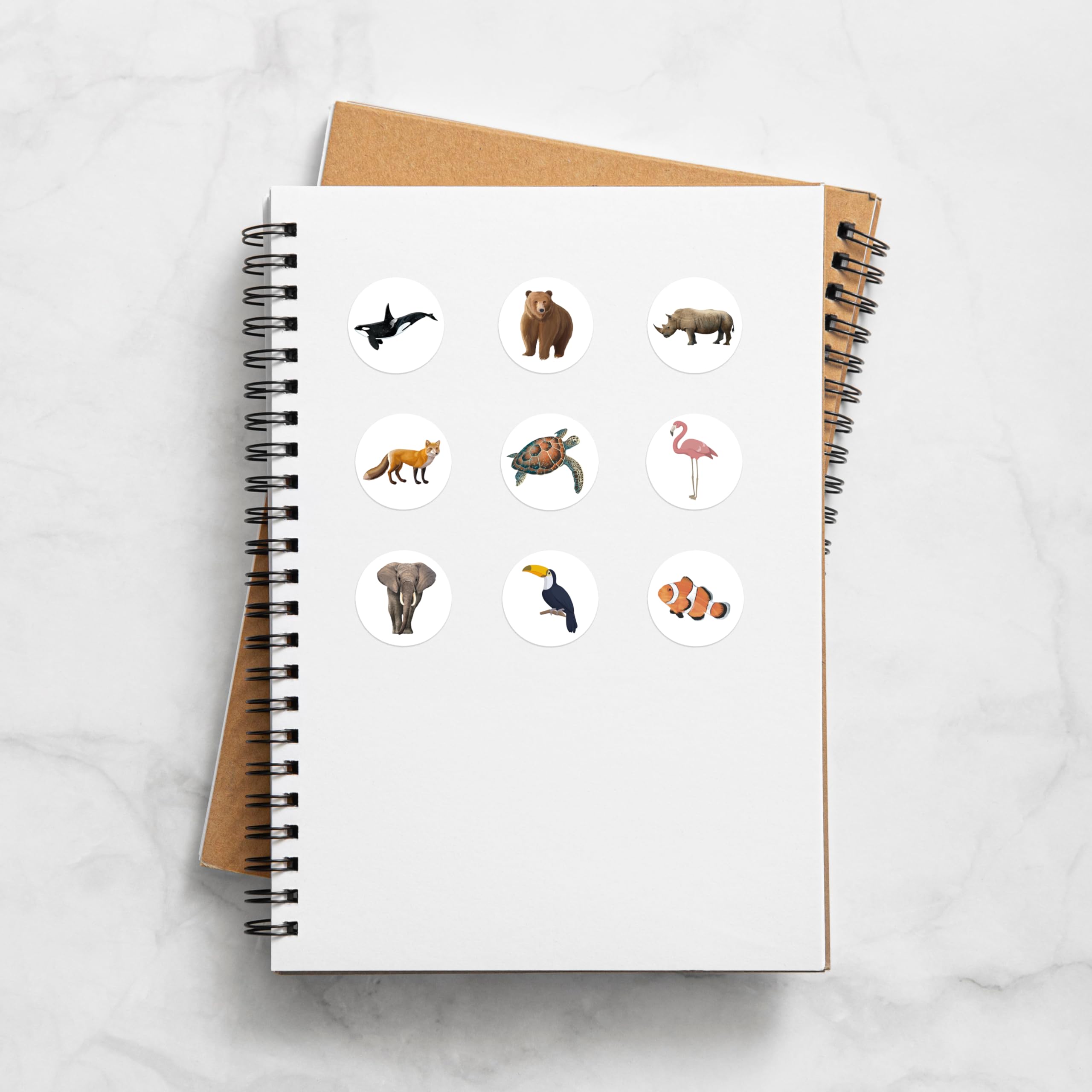 APLI Kids 20054 - Pack 4 rollos de gomets educativos círculos 33mm con temática sobre animales marinos, terrestres, exóticos y pájaro- ilustración realista