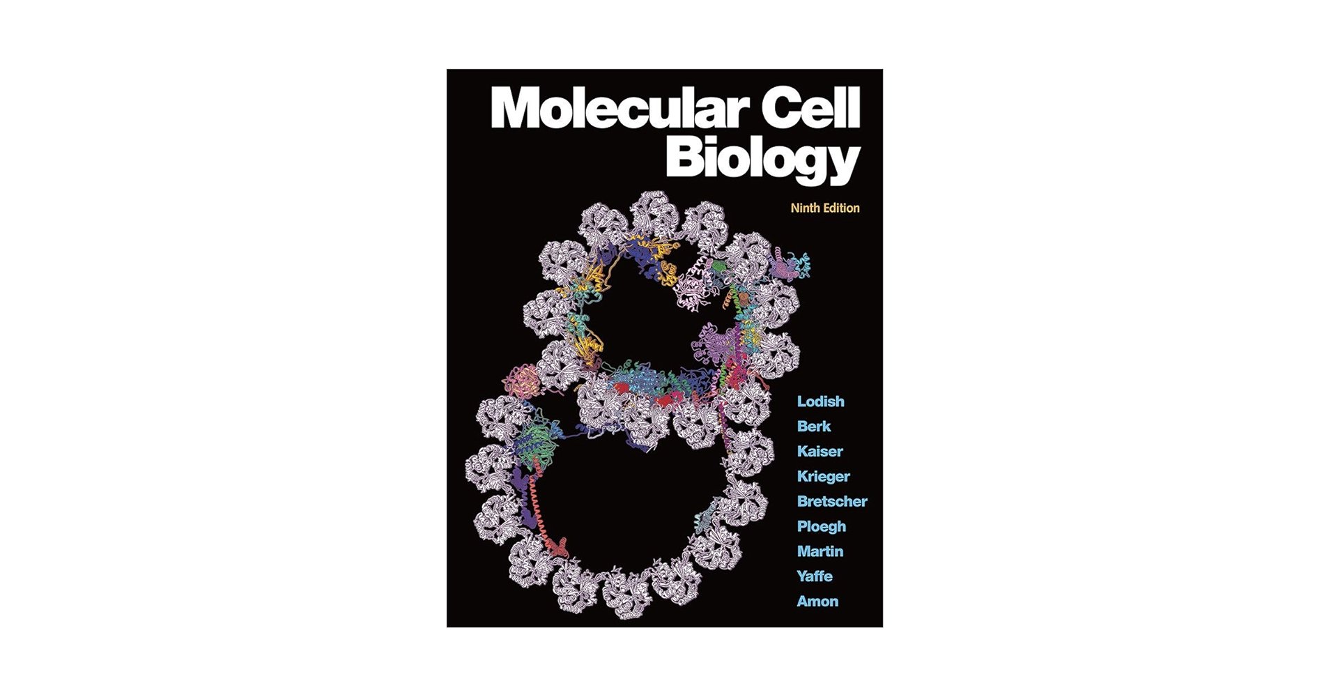 健康・医学 Molecular Cell Biology, 9th Edition Molecular Cell Biology: Lodish, Harvey, Berk, Arnold, Kaiser