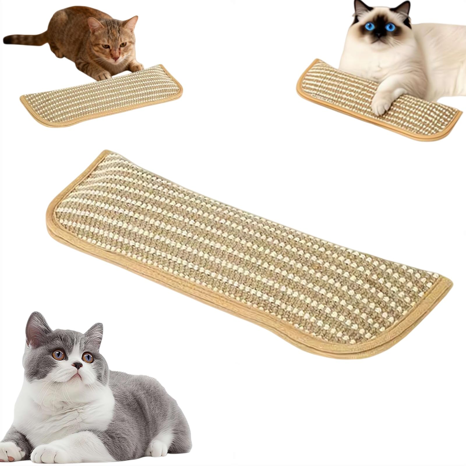 Catnip Toys for Indoor Cats - Cat Toys Pack of 3, Sisal Scratching Pad, Bite Resistant Kitten Teething Toy, 2026 New Interactive Cat Nip Kicker Toy for Anxiety Relief