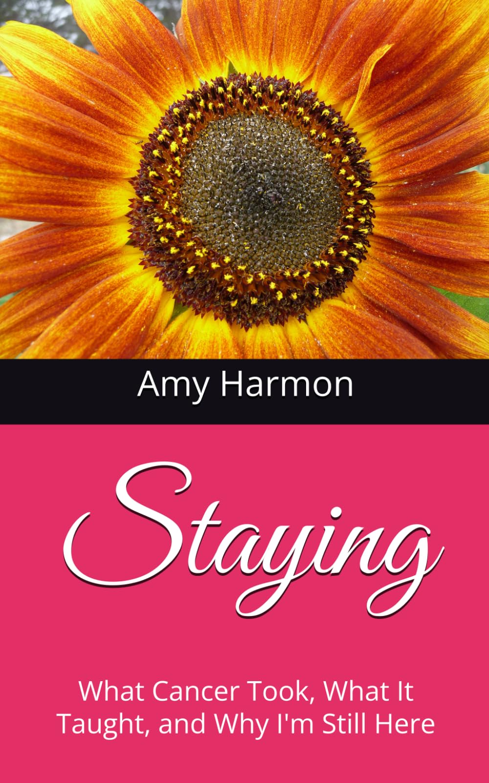 Staying: What Cancer Took, What It Taught, and Why I'm Still Here