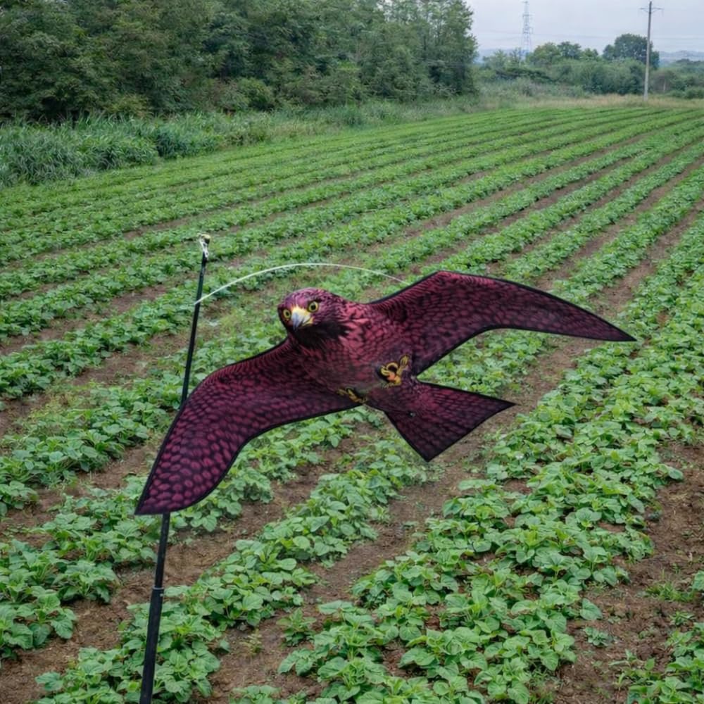 Remi Hogar Cometa Espantapájaros Halcón 6 m con Mástil Telescópico Ahuyentador de Aves y Palomas para Huertos, Jardines y Cultivos | Repelente Visual Ecológico Exterior