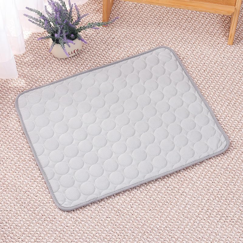 Coussin chien anti chaleur portable pour les vacances d'été