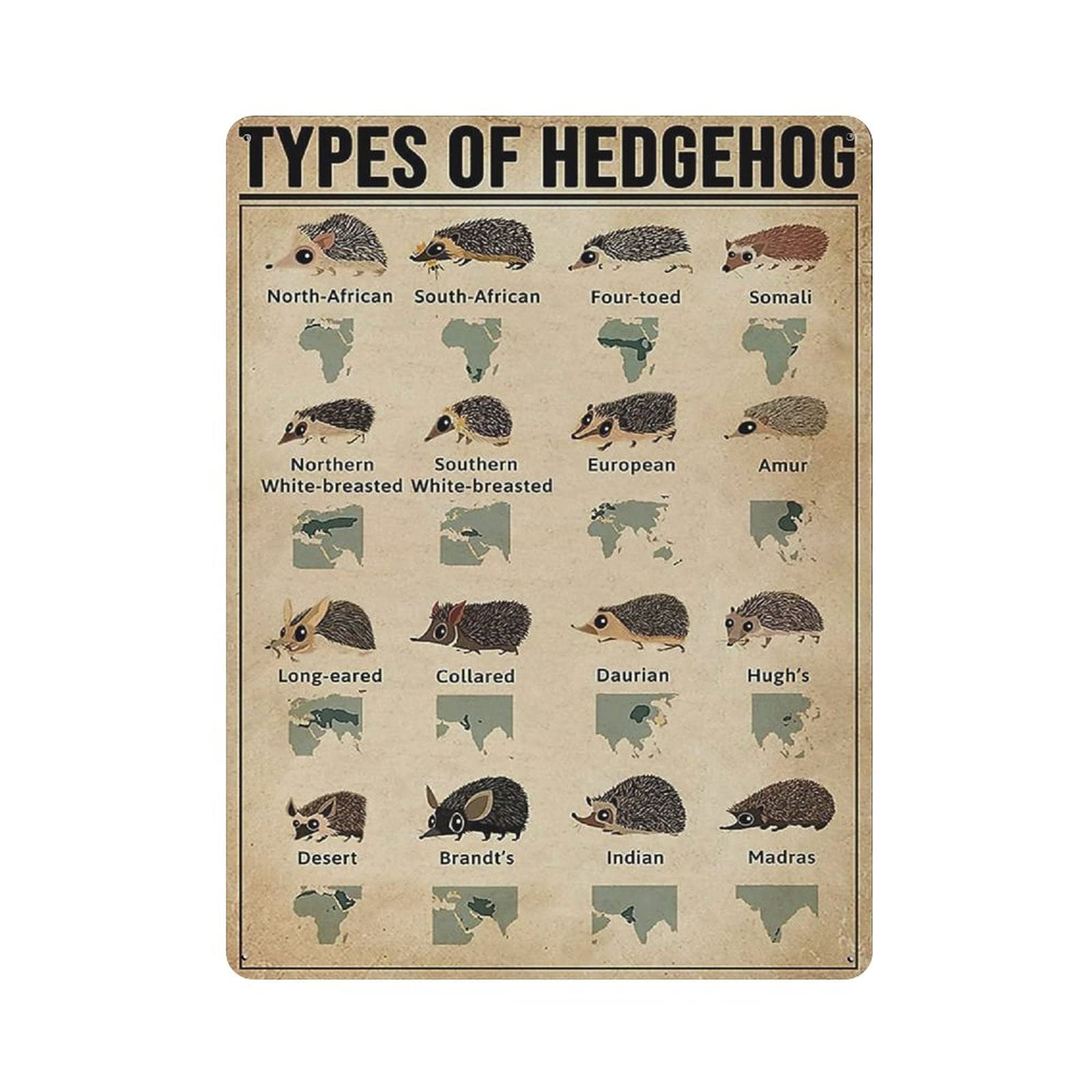 Metal Tin Sign Types of Hedgehog Knowledge Vintage Tin Poster Metal Sign Wall Decoration Country Kitchen Home Garage Decor 16"x12"