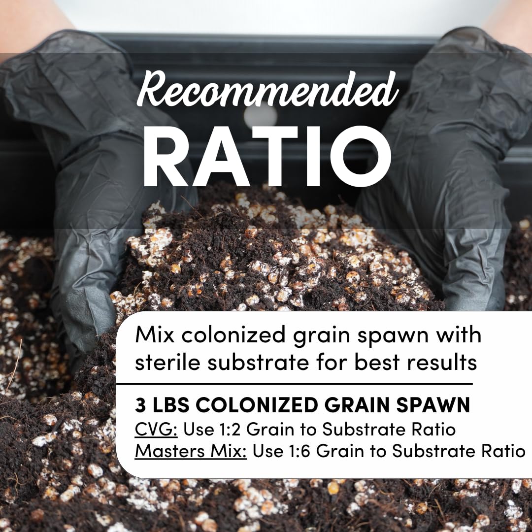 Mycelium Sterilized 3 LB Mushroom Grain Spawn Bag | Organic 60/40 Millet & Milo Blend for Fast Growth & High-Yield | |Ready-To-Use with Self-Healing Injection Port & Cultivation Enhancer | Made in USA