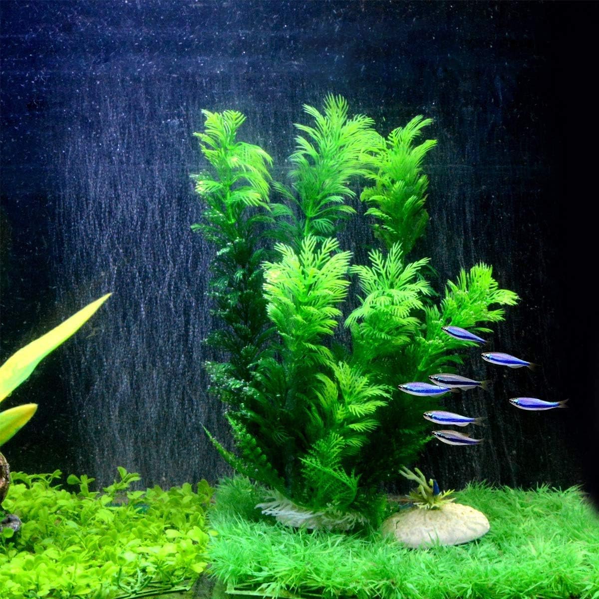 都内で Uxcell 人工水草 水槽オーナメント プラスチック植物 水景 置物 Qdtek Vn 都内で Uxcell 人工水草 水槽オーナメント プラスチック植物 水景 置物 Qdtek Vn