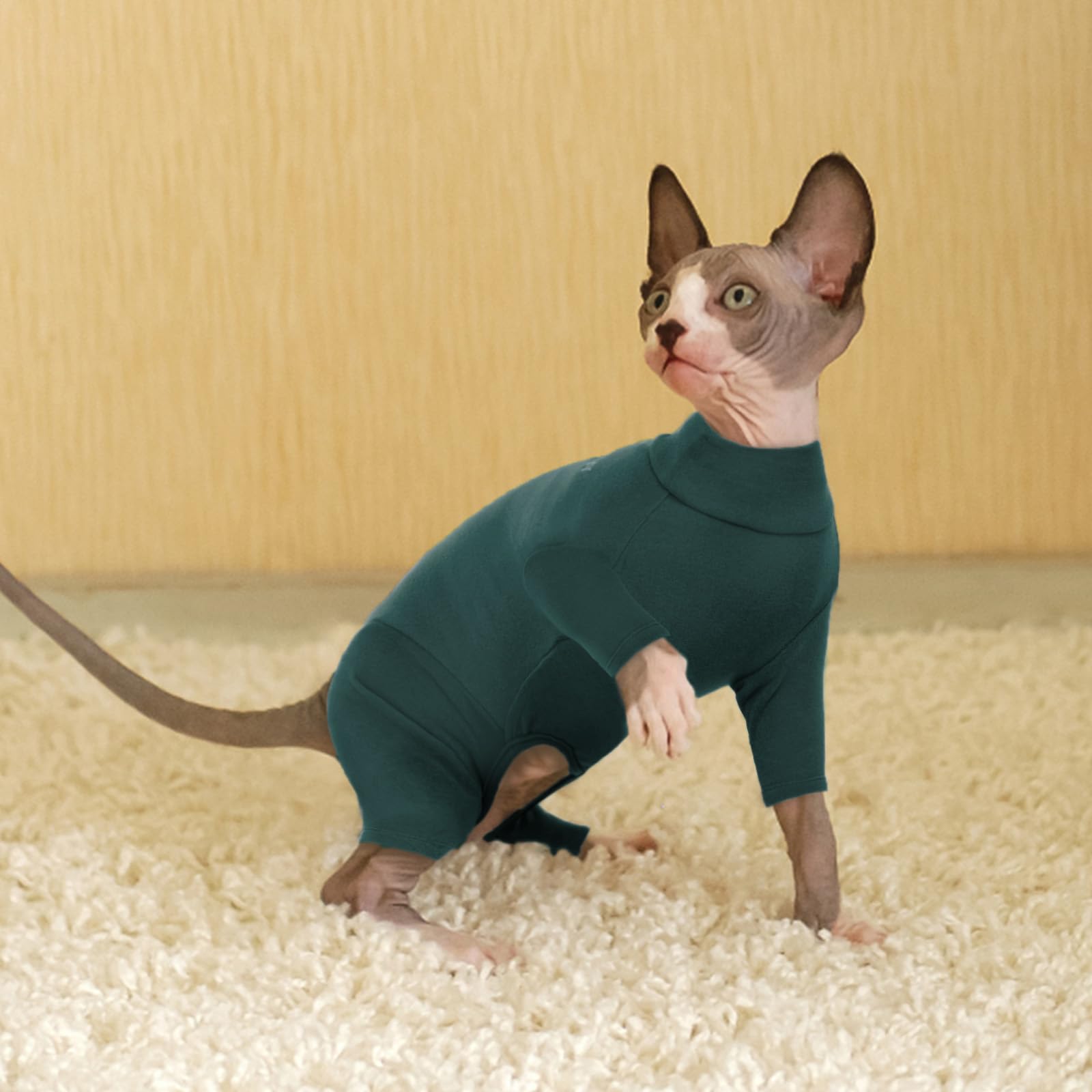 PUMYPOREITY Pull pour Chats, Manteau Doux et Chaud Sweat-Shirt d'hiver Vêtements Chandail Pyjama Chat Sweat pour Sphynx Chat Printemps Automne Hiver(Vert Foncé, XS)