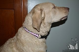 Heavy Hauler Outdoor Gear Duck Band Dog Collar, w/3 duck bands, Pink/Black, Large/21in-24in