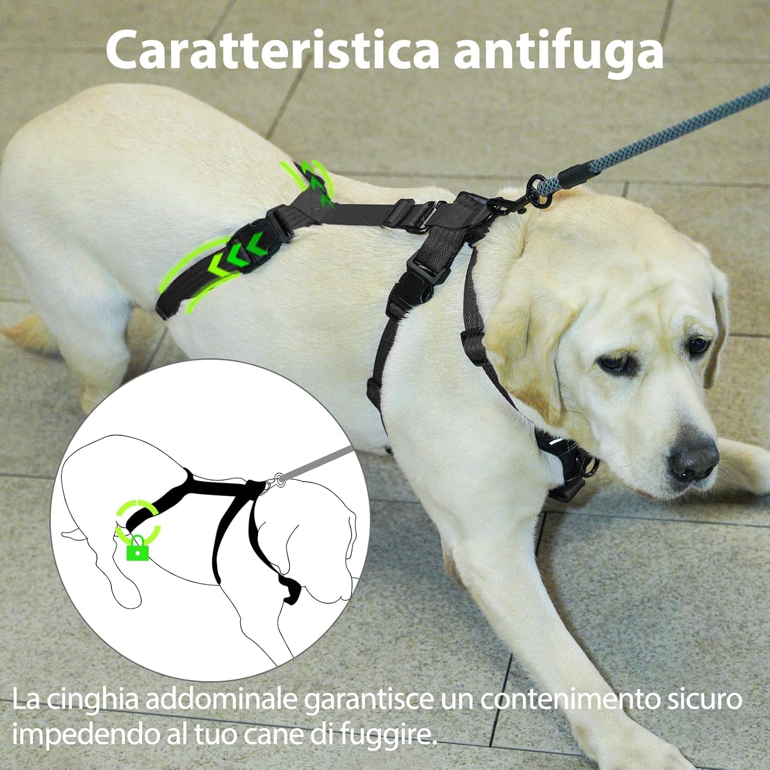 Paworld Pettorina Antifuga Cane, Pettorina Cane Taglia Media, Regolabile, Traspirante, Senza Soffocamenti, Allenamento alla Camminata (Nero,M)
