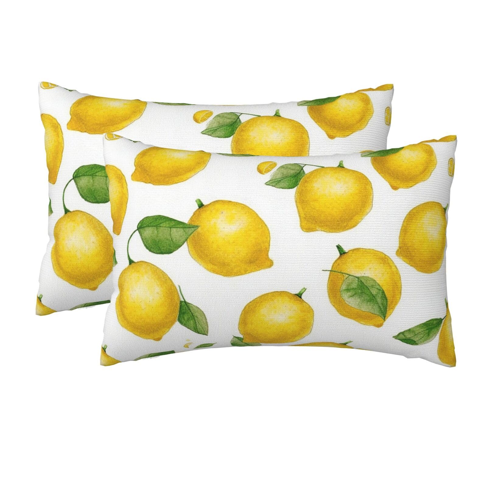 2 Pack Queen Size Pillow Cases for Hair and Skin Soft Breathable Pillow Case Covers with Hidden Zipper Yellow Lemon Pillowcase 20x30 Inches Pillow Cover for Sleeping Gift