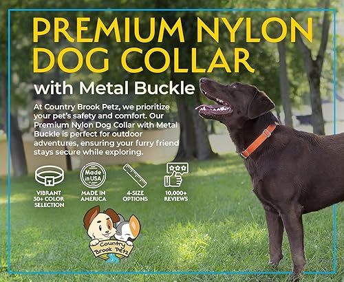 Miniatura 4 de Country Brook Petz  Collar de nailon premium para perro con hebilla de metal  Vibrante selección de 25 colores, Negro