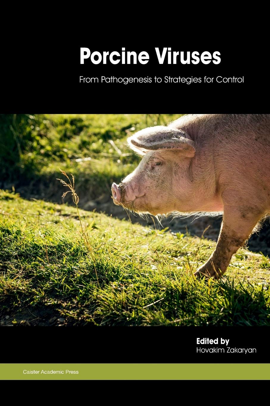 Buy Porcine Viruses: From Pathogenesis to Strategies for Control — BookShops.in