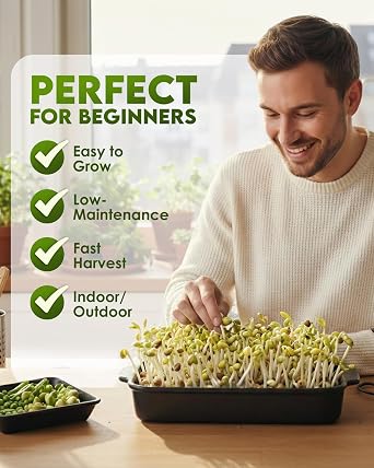 Nature Jim's Sprouts - Mung Bean Sprouting Seeds, Non-GMO Planting - 16 oz
