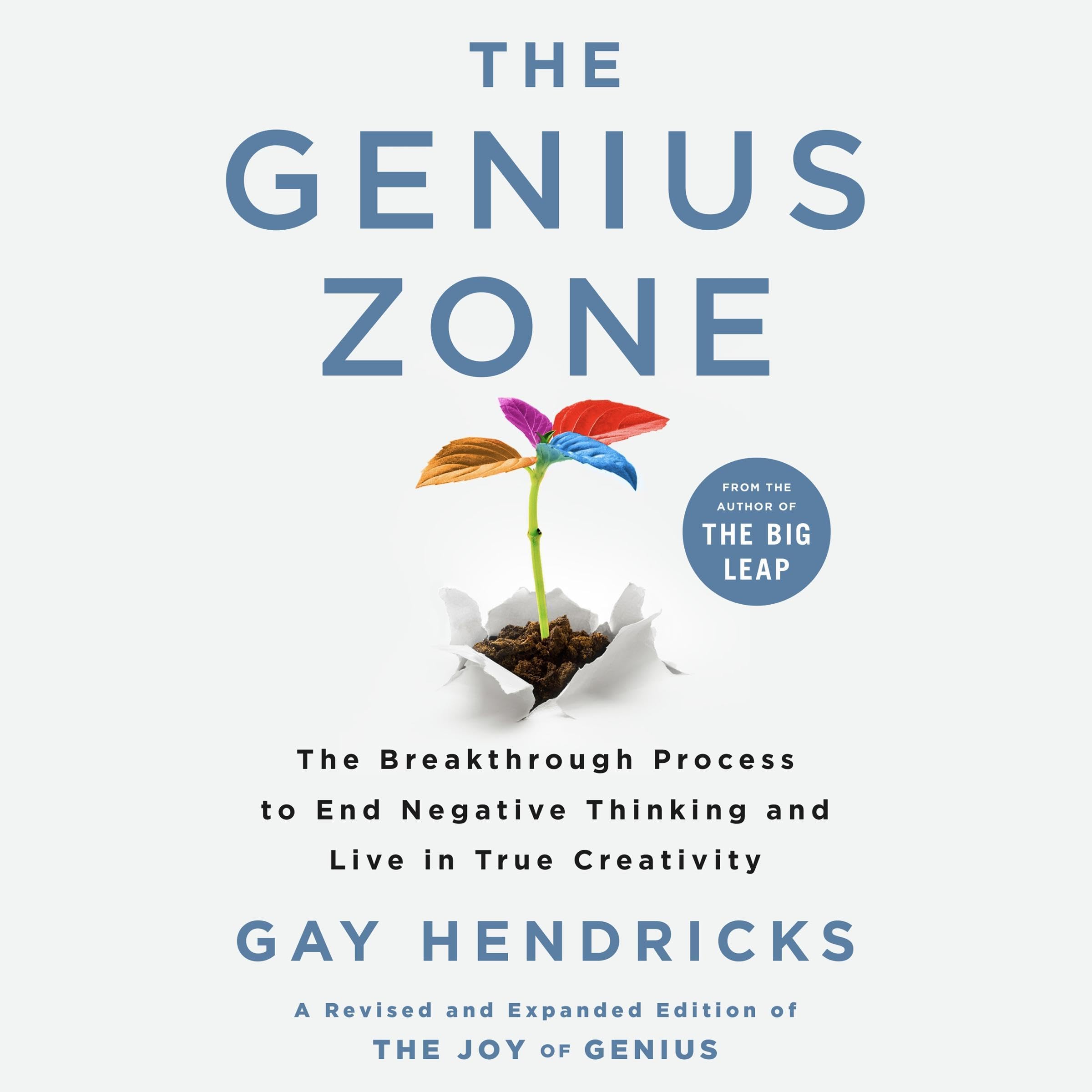 The Genius Zone: The Breakthrough Process to End Negative Thinking and Live in True Creativity
