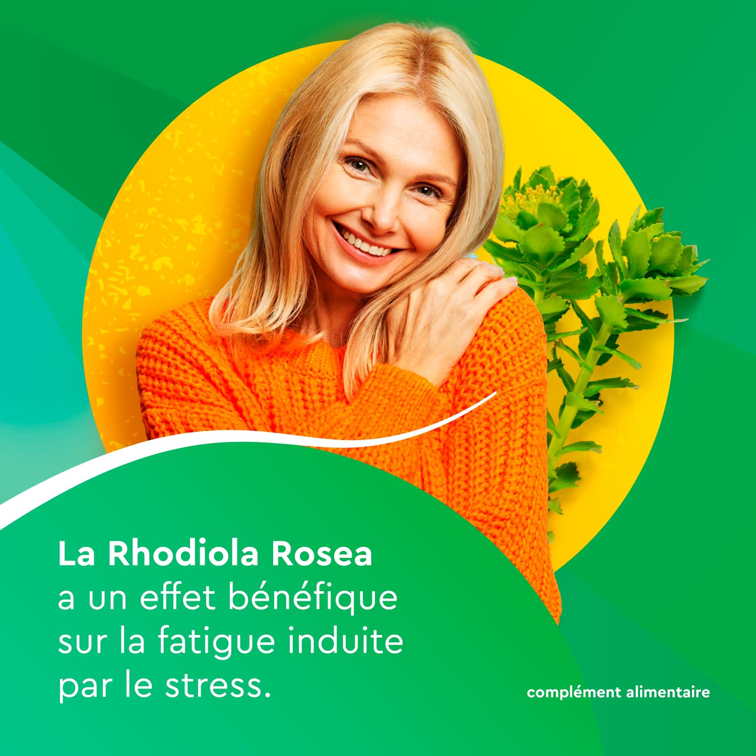 Euphytose Zen 30 comprimés - Lot de 4 boites (4)
