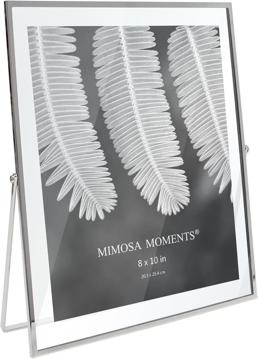 MIMOSA MOMENTS 8x10 Silver Metal Floating Picture Frame, Double Glass Tabletop Display, Modern Minimalist Photo Frame for Home & Office Decor