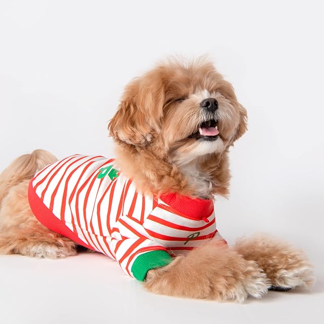 Foto 4 de 4 de Mate Camiseta Tops para Perro M Naranja