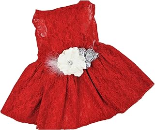 Christmas Dog Dress | Holiday Dog Dress | Red Lace | XS to XXXL (XL)