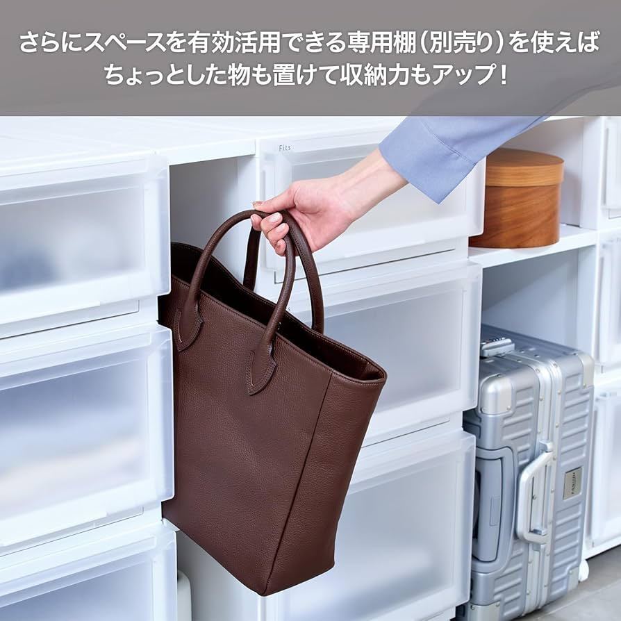 Amazon｜天馬 収納ボックス フィッツケースアドバンス 幅39×奥行