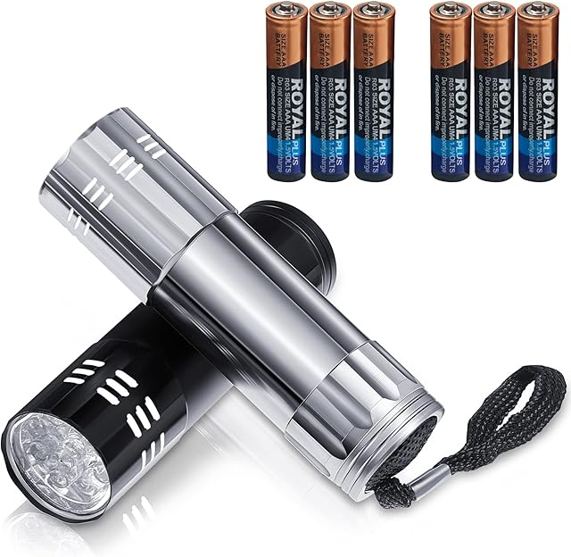2 Pcs Mini Pocket Torch Small Handheld Torches Kids Led Flashlight 3 Inch Waterproof Pencil Torch with Lanyards for Camping Hiking Outdoor, Batteries with Insulation Card Included (Black, Silver)