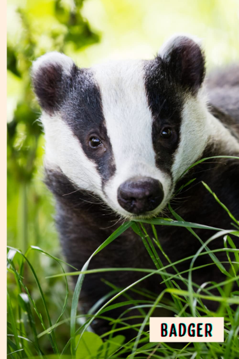 Badger: Perfect Badger Journal for Memories And Notes , Badger Notebook ( 110 Pages, 6x9 )
