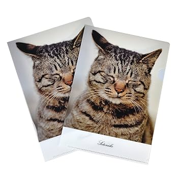 Amazon | キジトラ猫 クリアファイル 写真 A5サイズ 日本製 2枚