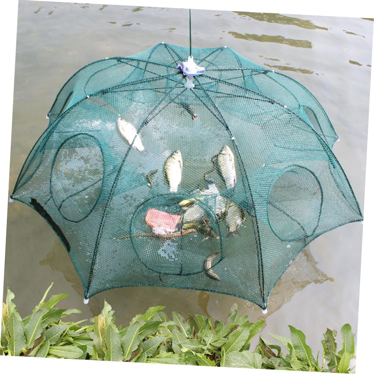 Collapsible Fish Net Umbrella Fish Cage Holes Floating Fishing Net for Bait Easy to Use and Portable for Pond River Lake