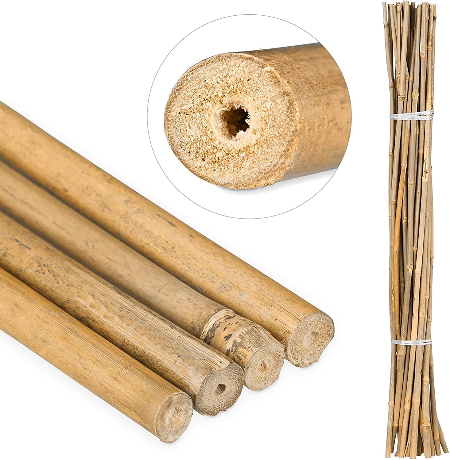 Suinga 100 Stück, Bambusstützen für Pflanzen 100 cm (10-12 mm) – Bambusstäbe, Stützen für Pflanzen, Gemüse, Tomaten, Bambusstäbe