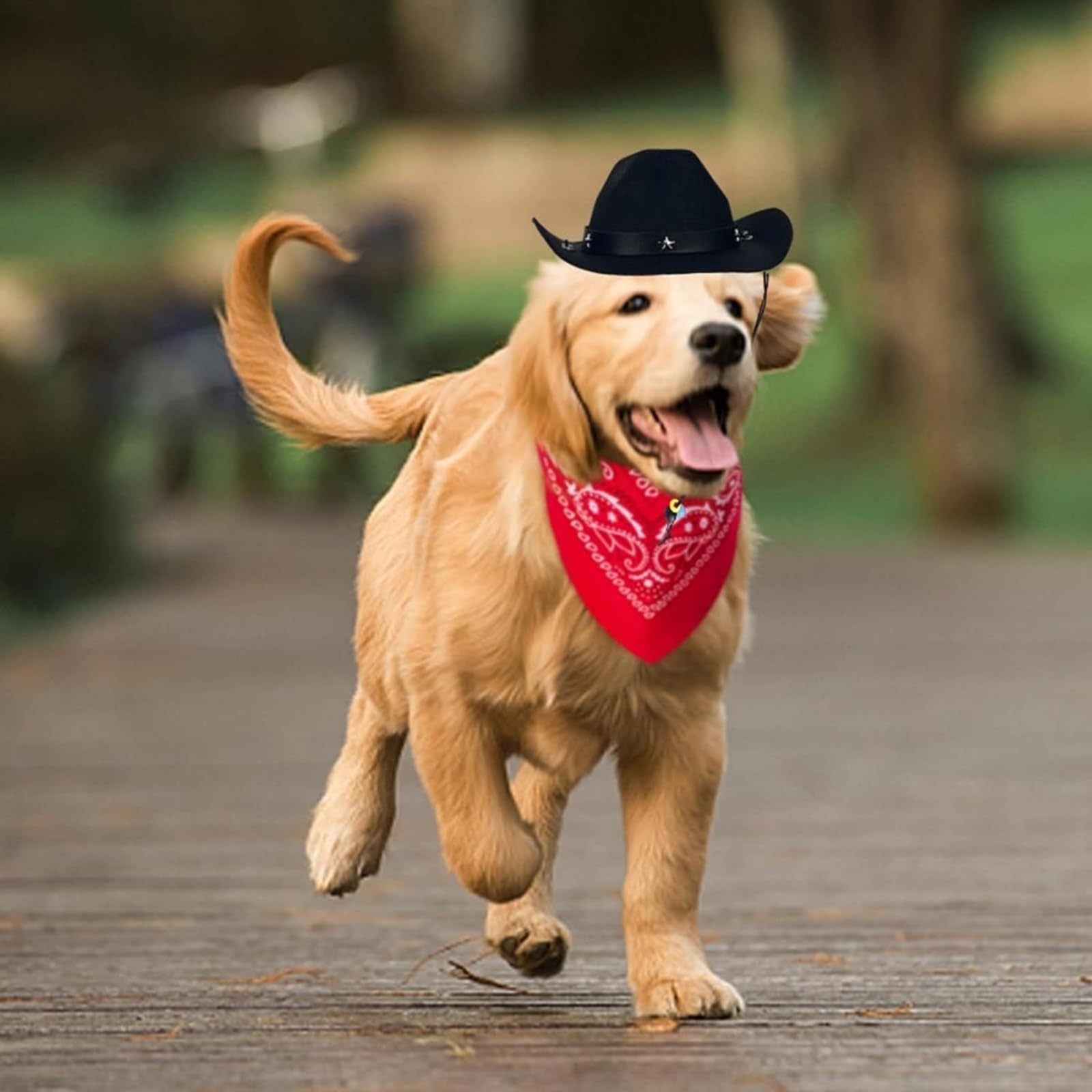 Ling & Bai 2Pcs Dog Cowboy Hat Costume Pet Cap and Bandana Scarf Cosplay West Decoration Accessories for Party Halloween Festival (Black) - Image 4