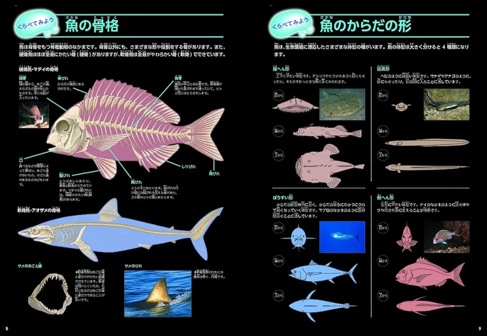 動作確認済み✨DVDの８枚セット 学研の図鑑LIVE 講談社の動く図鑑 魚 動物 DVD付 魚 (講談社の動く図鑑MOVE) | 福井 篤, 講談社 |本 | 通販