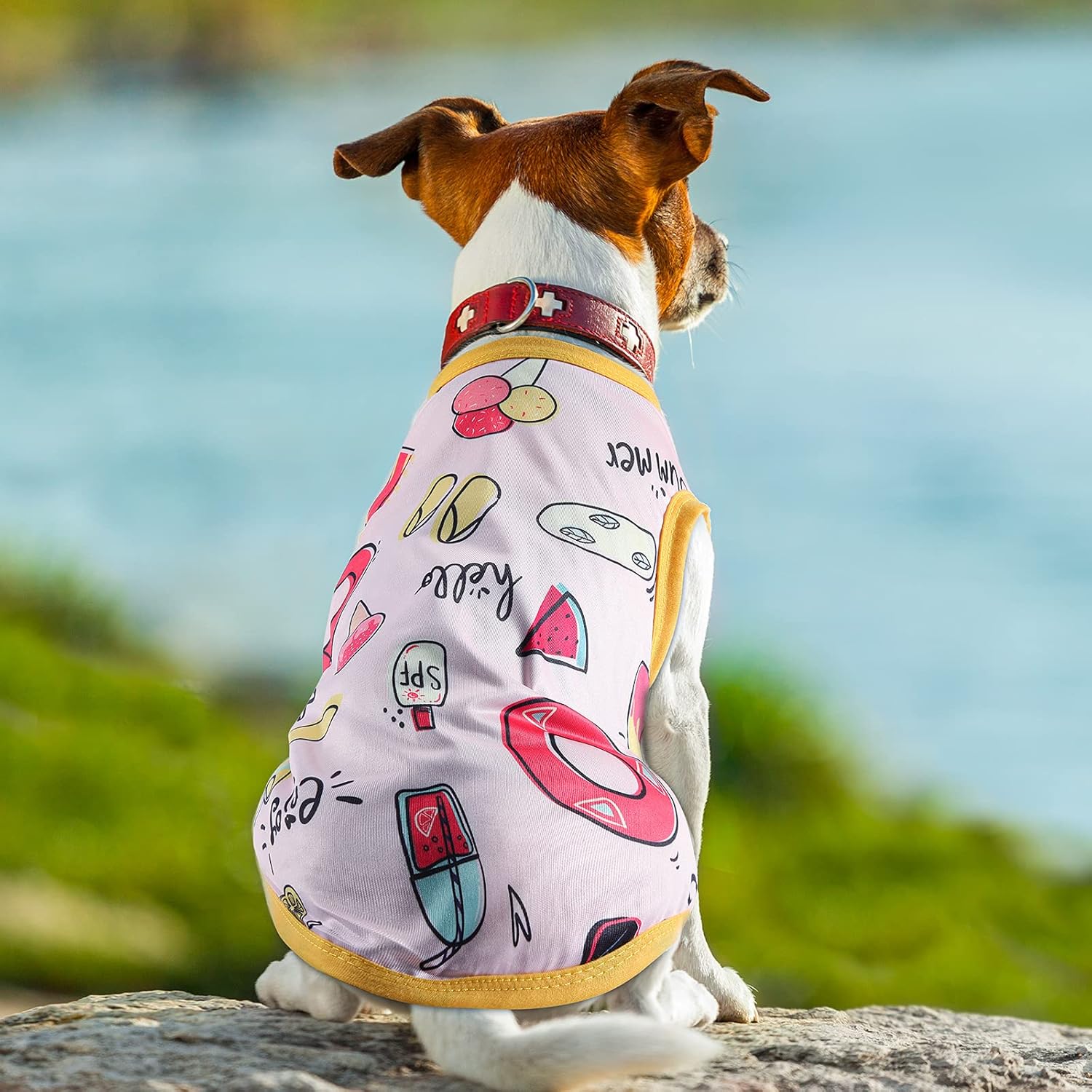 6 Pieces Printed Puppy Shirts Breathable Pet Clothes Soft Dog T-Shirt Dog Sweatshirt Dog Sleeveless Cute Dog Clothing Pet Apparel Dog Vest Pet Shirts for Dogs and Cats (Medium) : Pet Supplies