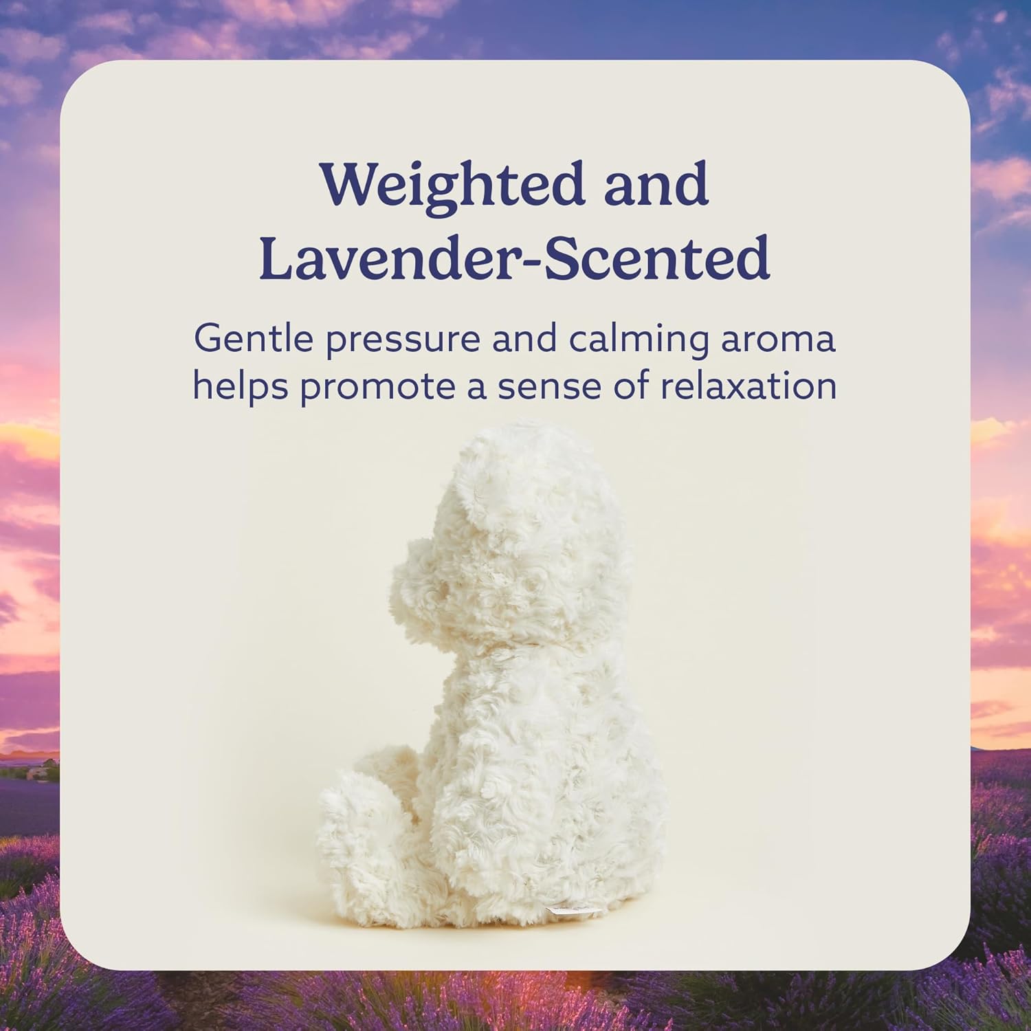 warmies Microwavable & Weighted Stuffed Animals, Cream Curly Bear - Heated Stuffed Animal Plushie for Warmth & Comfort - Cute Soft Plush Toys for Adults & Children (Boys, Girls, Babies & Toddlers)